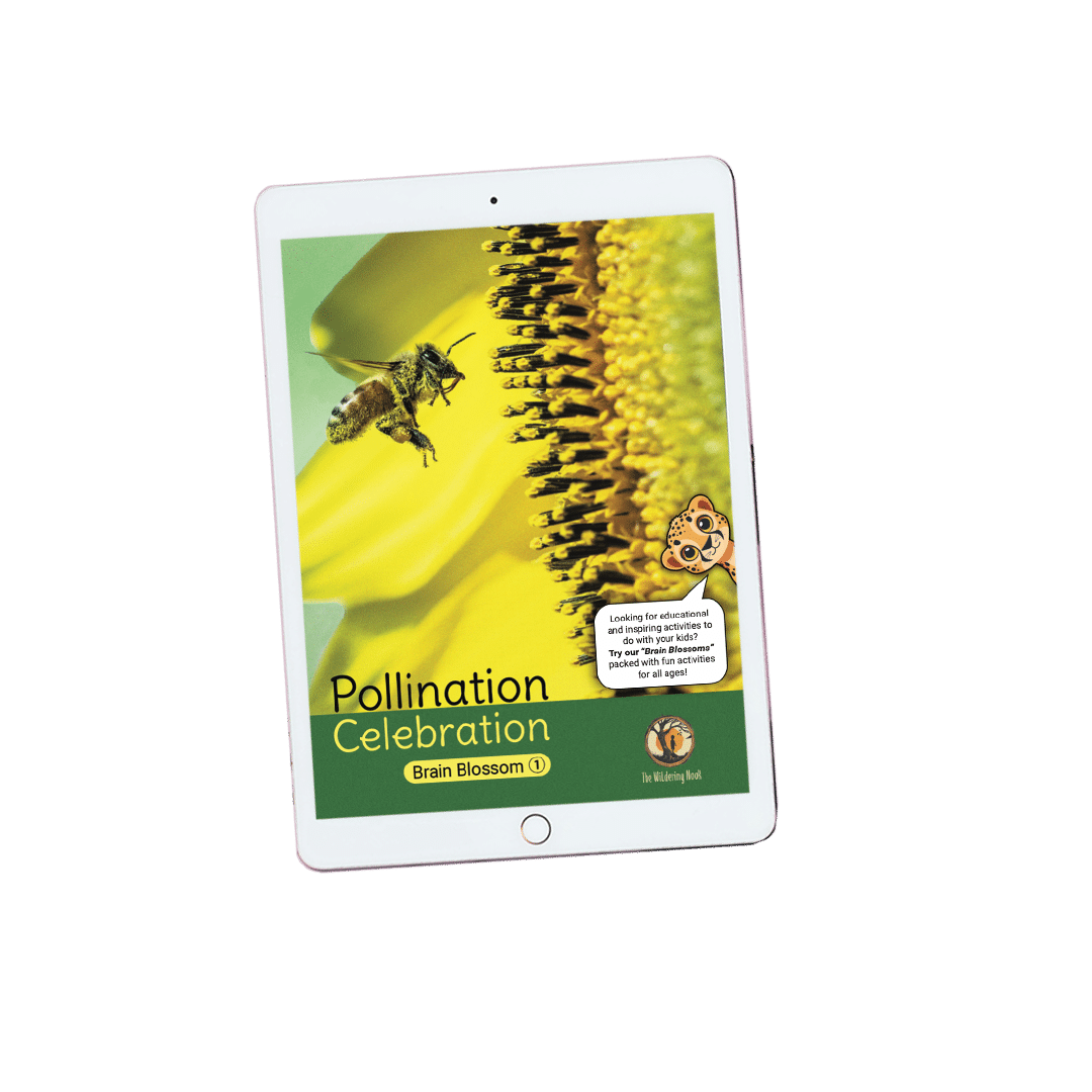 pollination celebration brain blossom animals about the wildering nook homeschooling home school amazing learning material educational children kids resources new zealand aotearoa australia america digital products printed books