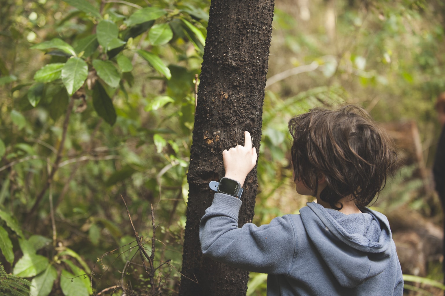 homeschooling in aotearoa new zealand nature-based learning the wildering nook learning resources homeschooling tips